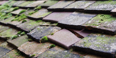 Seaforth roof repair costs
